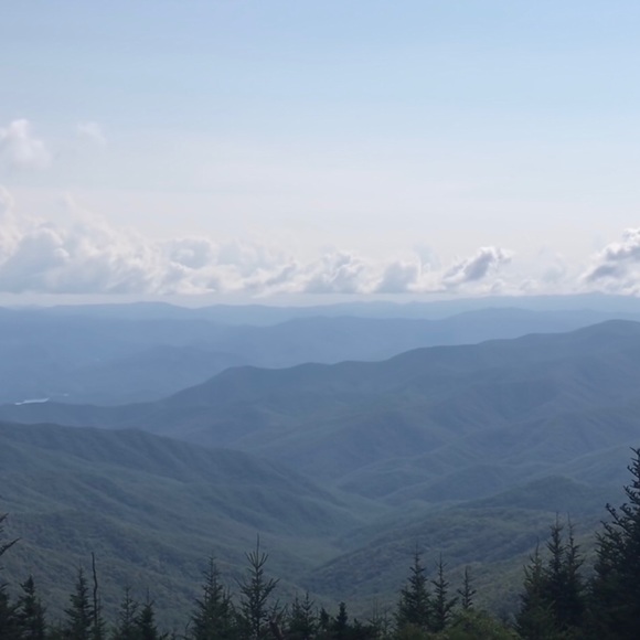 Bundle bundle bundle!! - Picture 1 of 3